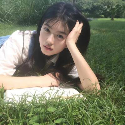 来自收容所的爱