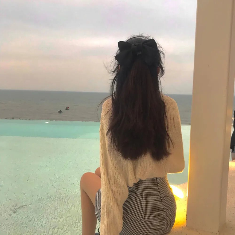 风骚律师